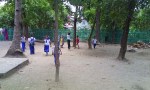 School’s Back Yard&nbsp;(1)